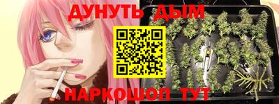 ALPHA PVP Нальчик