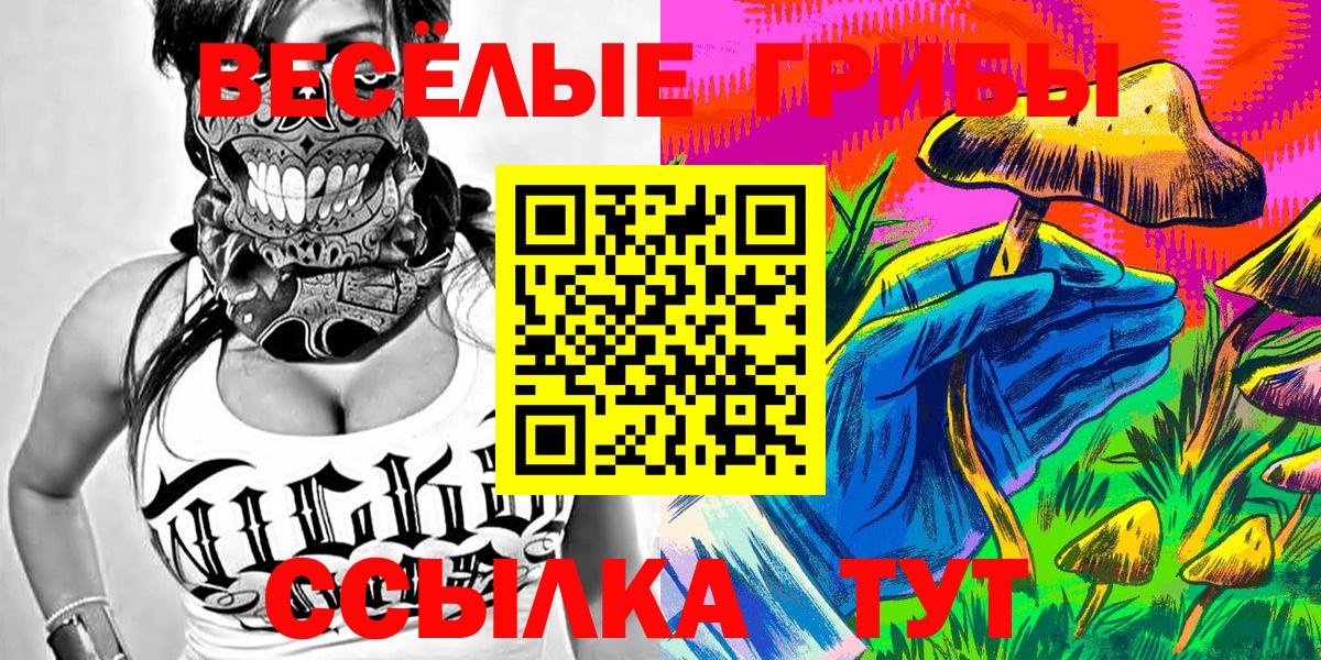 Старая Купавна  где купить наркотик  Псилоцибиновые грибы Magic Shrooms  Вход с VPN  Псилоцибиновые грибы ЛСД 
